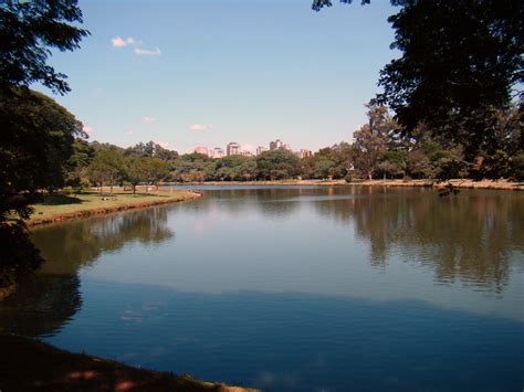 ¡El Parque do Ibirapuera: Un Oasis Verde en el Corazón de São Paulo!